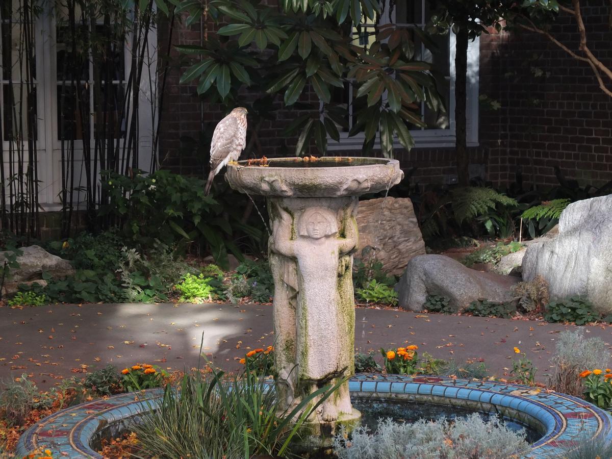 San Francisco Zen Center Bed & Breakfast Exterior photo